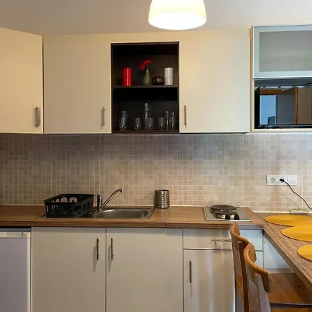 Wellness Blue Star Apartman דירה