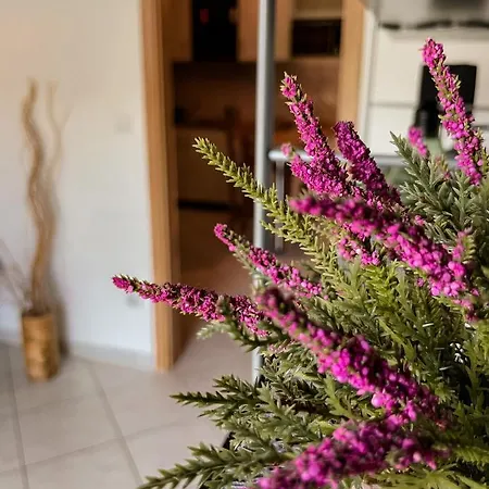 דירה Wellness Blue Star Apartman